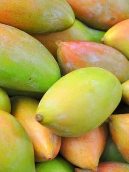 Bangalore Mango 10 KG