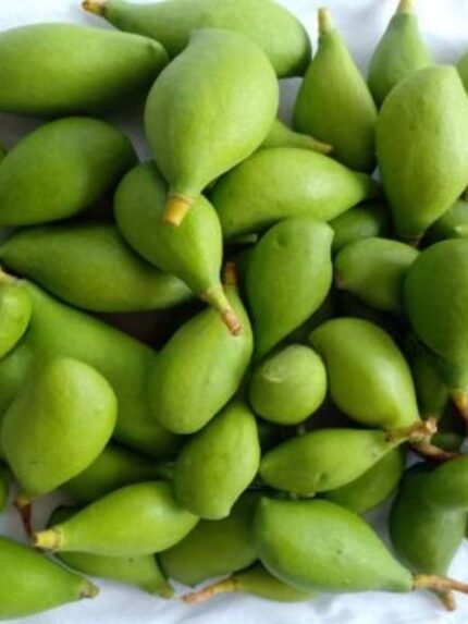 Kilimooku Vadu Mango / Raw Vadu Mangai