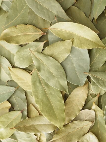 Bay Leaf