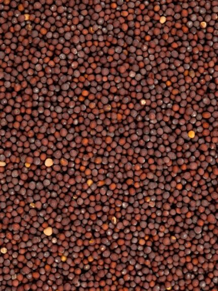 Mustard Seed - Small